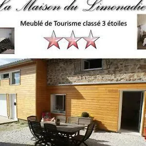 https://le-limonadier.hotels-rhonealpes.com